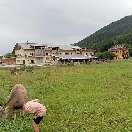 Maso Torbiera- Rural And Mountain Lodging Fiavè Esterno foto