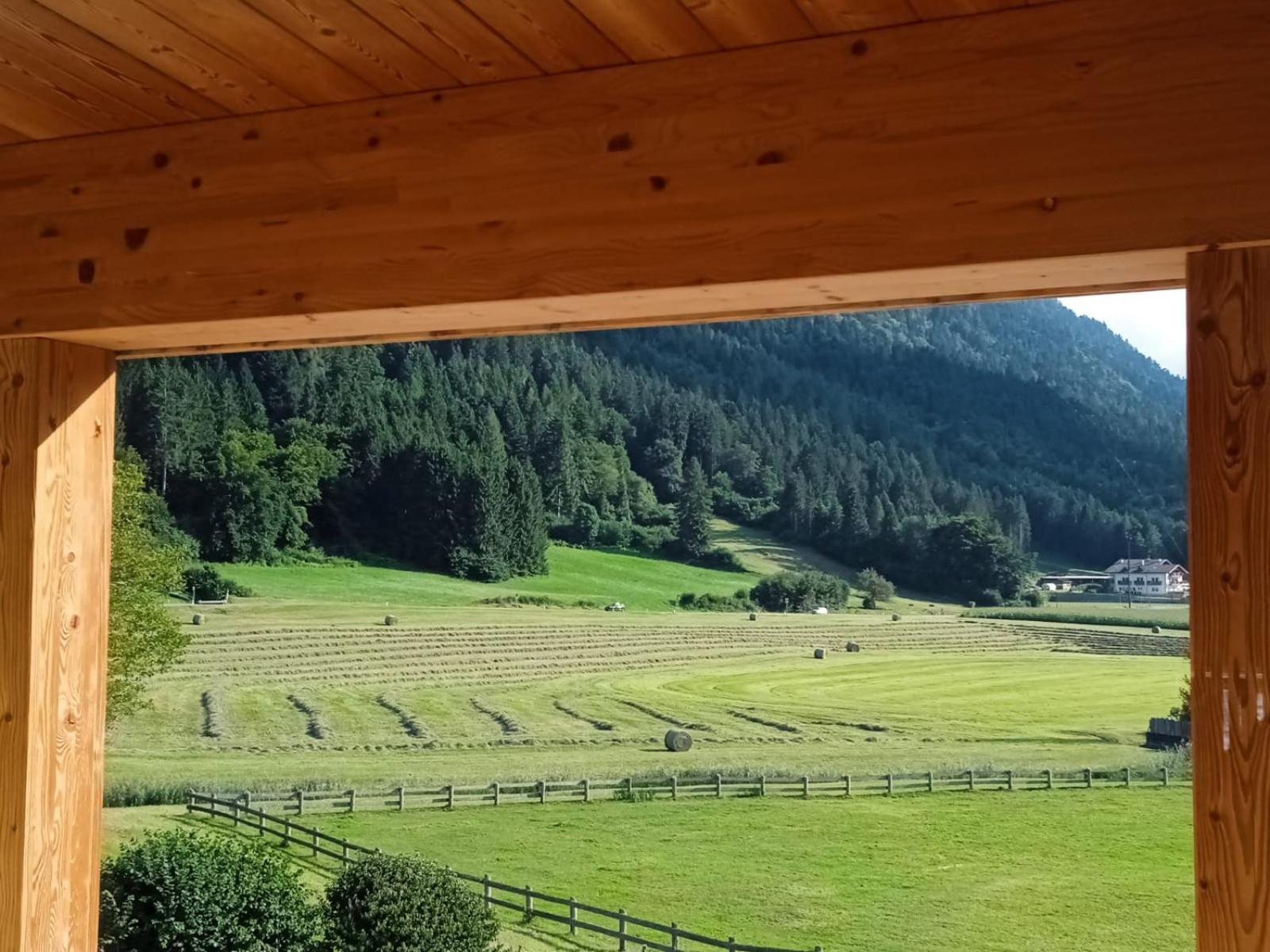 Maso Torbiera- Rural And Mountain Lodging Fiavè Esterno foto